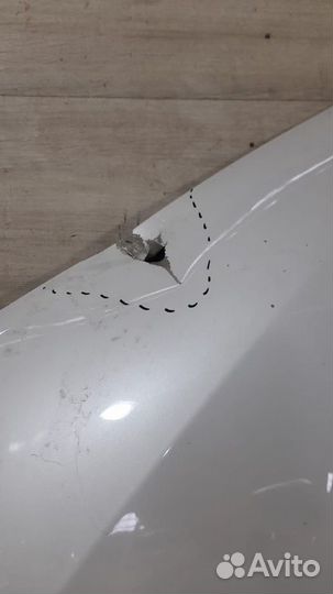 Капот Bmw X7 G07 С 2019 Года