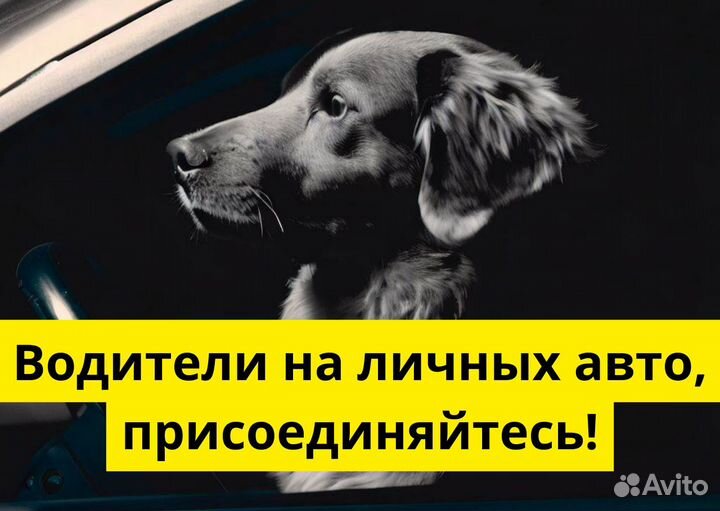 Ищем водителей с л/а для Яндекс Go