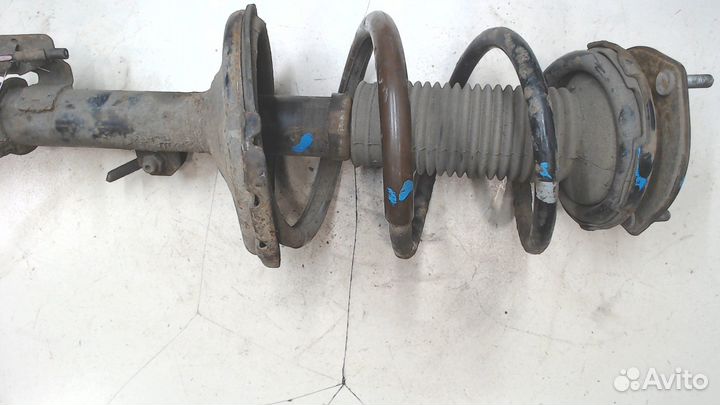 Амортизатор подвески левый передний Lexus RX, 2004