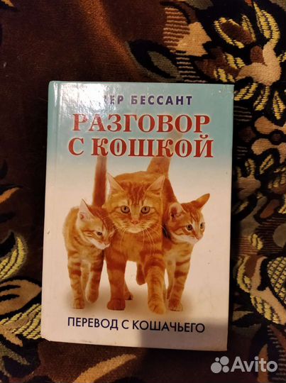 Классная книга про кошек