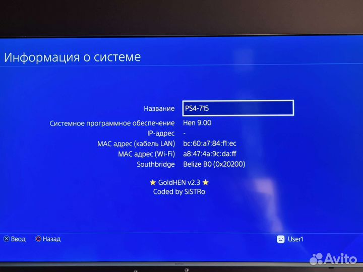 Sony playstation 4 pro прошитая