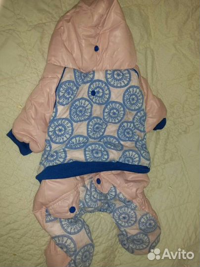 Одежда для собак