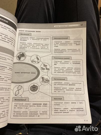 Егэ огэ Биология Математика Русский язык