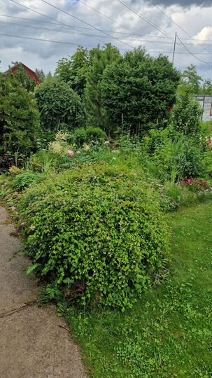 Дом 86 м² на участке 9 сот.