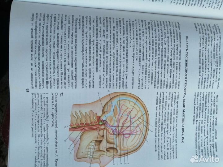 Медицинские книги топографический атлас