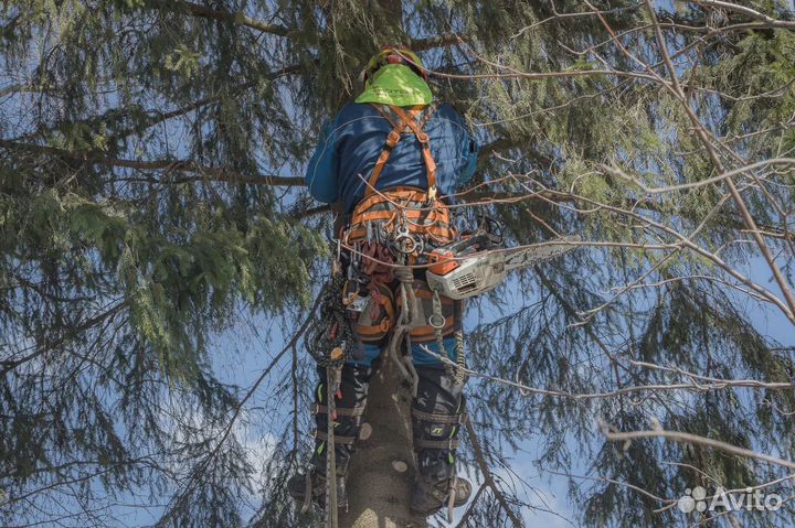 Спил, вырубка, обрезка деревьев профессионалами