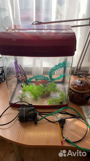 Аквариум