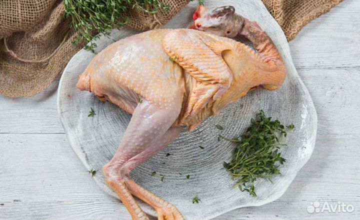 Мясо птицы