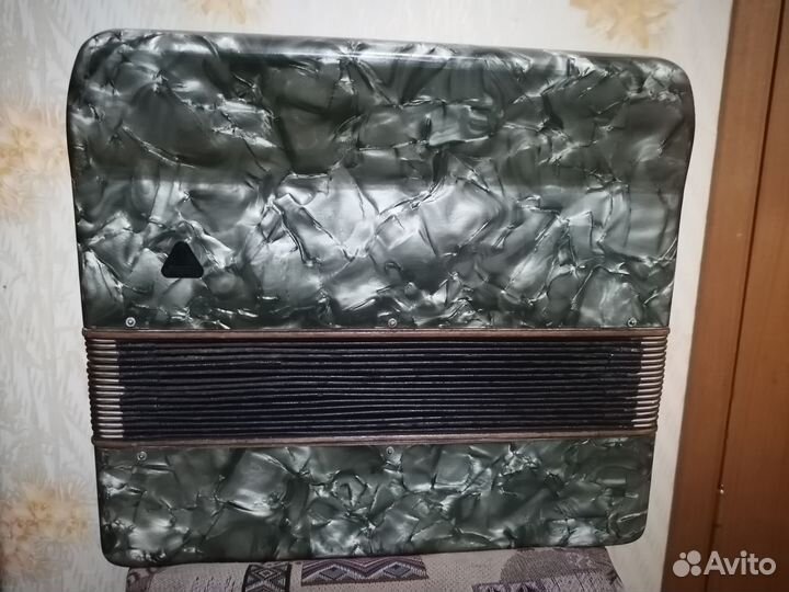 Баян немецкий