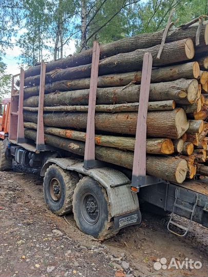 Перевозка леса