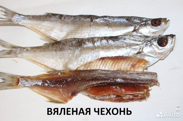 Вяленая чехонь/Прямая доставка из Астрахани