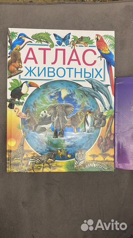 Детская энциклопедия