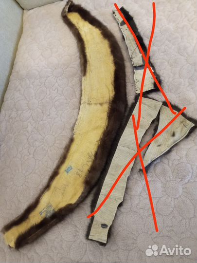 Воротник енот, норка