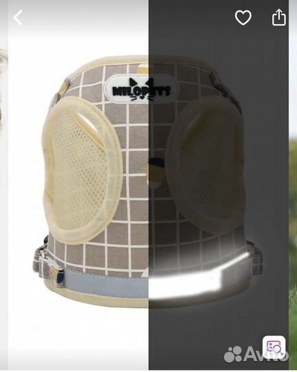 Шлейка для маленьких собак и кошек