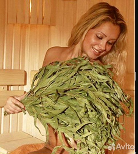 Эвкалипт оптом