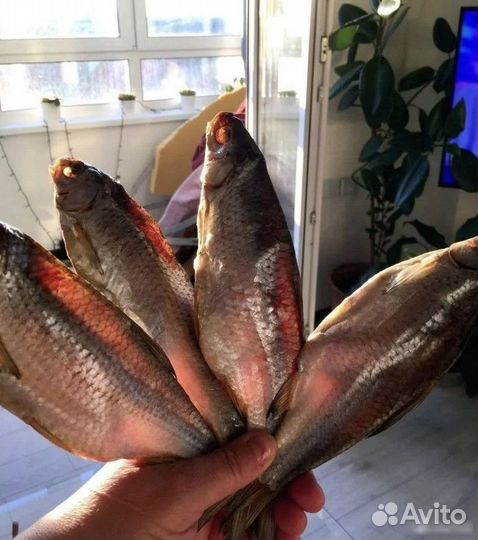 Астраханская вобла