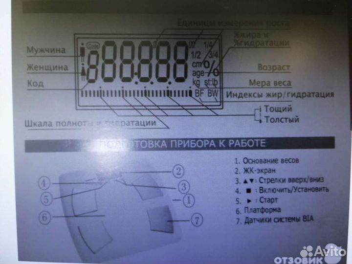 Весы