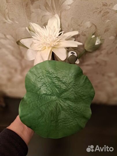 Искусственный гиппиаструм из икеа