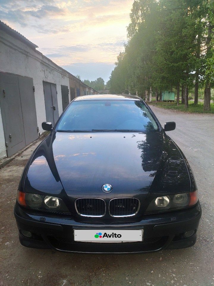 BMW 5 серия: фото владельца