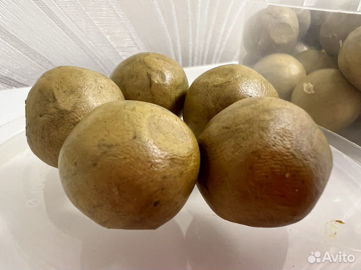 Прополис пчелиный