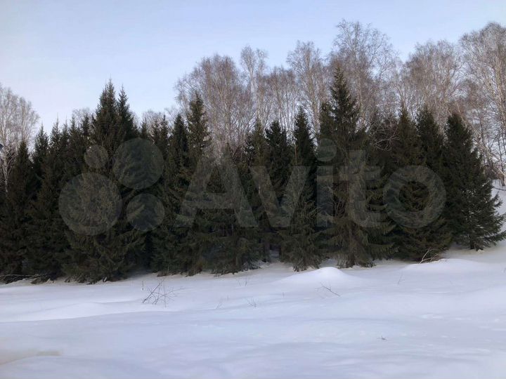 Участок 11,5 сот. (СНТ, ДНП)