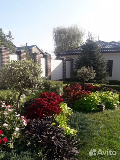 Благоустройство территории/ озеленение