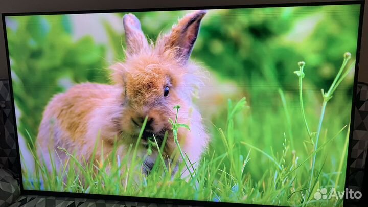 Телевизор haier 50 SMART tv bx