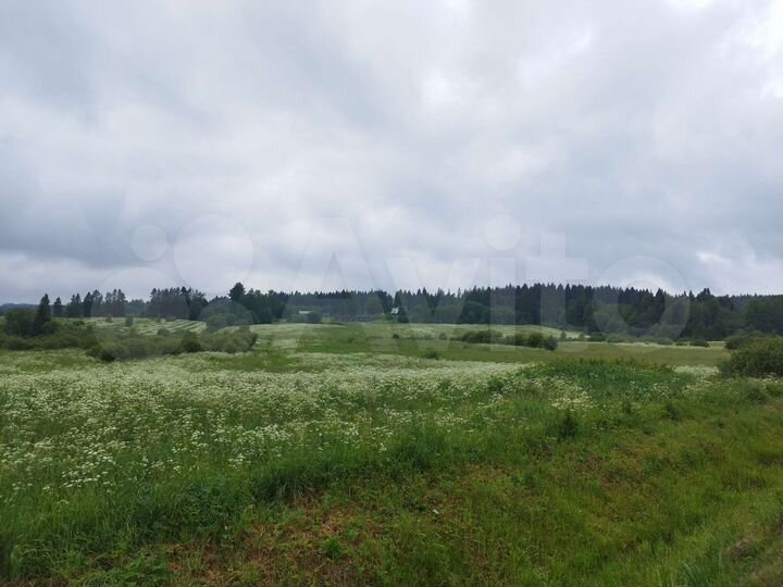 Участок 3,24 га (СНТ, ДНП)