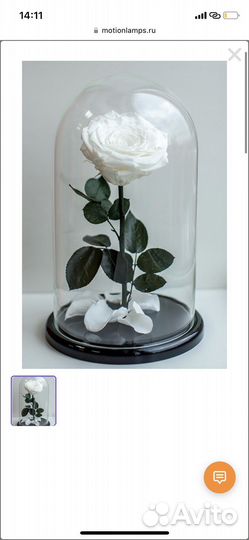 Колба.В подарочной коробке