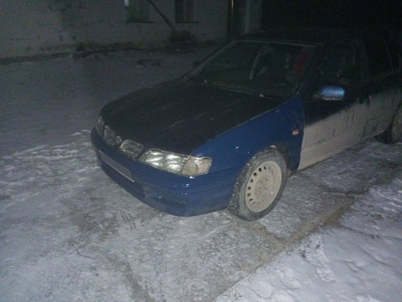 Nissan Primera: фото владельца