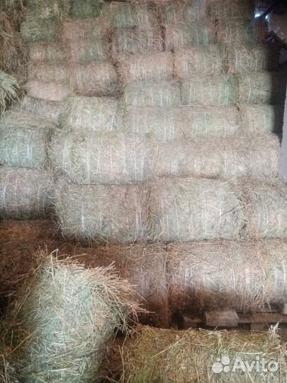 Сено в рулонах