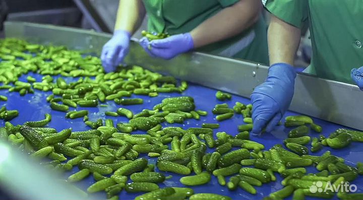 Упаковщик. Проживание/питание