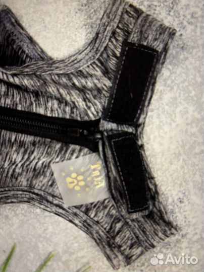 Попона для кошек