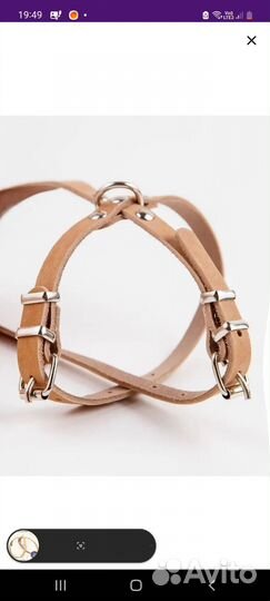 Шлейка для собак и кошек