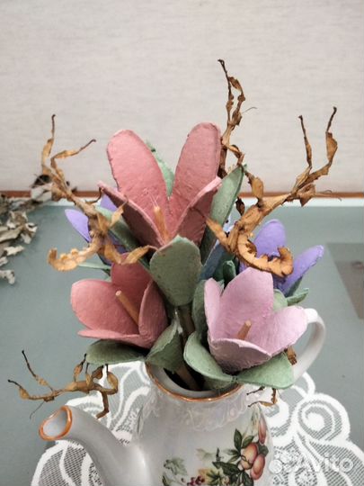 Австралийские палочники