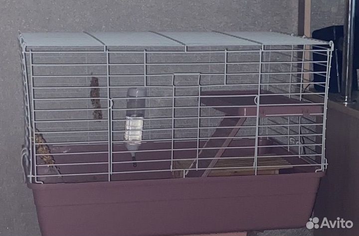 Клетка для грызунов, кроликов