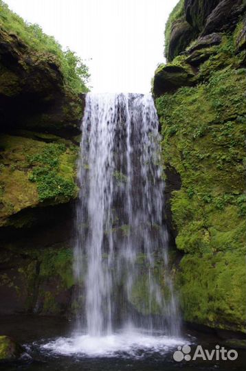 Туры на остров Итуруп