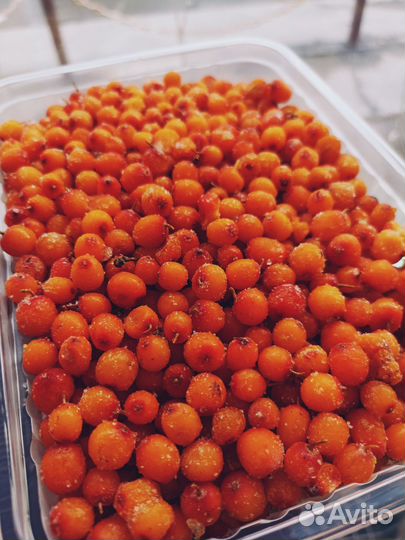 Замороженные ягоды. Замороженные манго