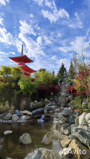 Помогу со входом В японсий сад