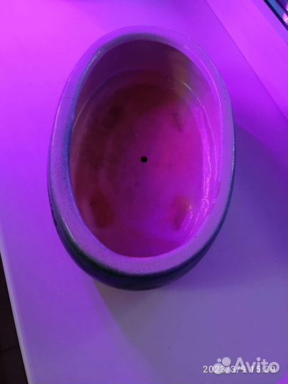 Плошка для Бонсай