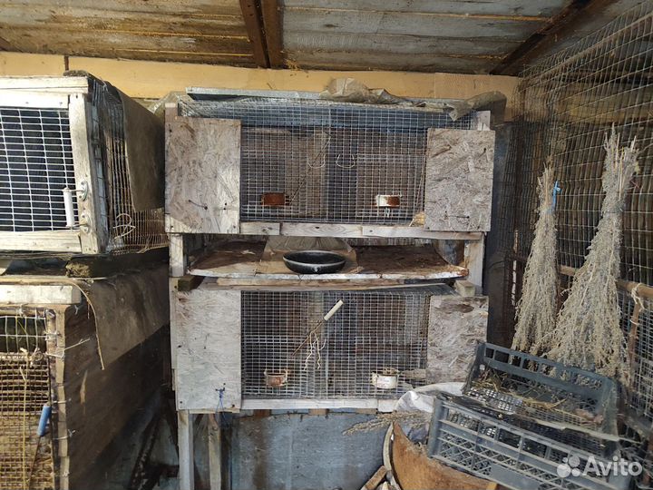 Клетка для кролика и птицы