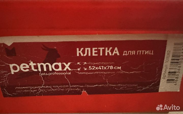 Попугай монах или квакер