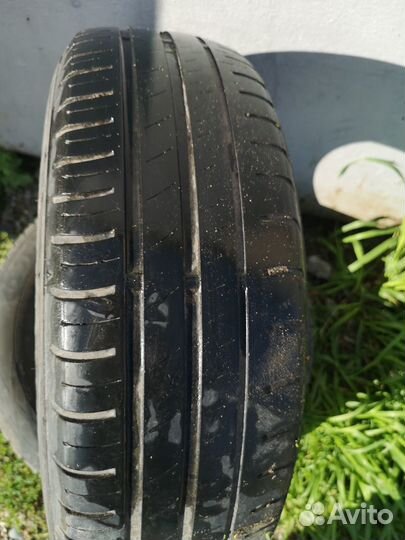 Dunlop All Season Maxx AS1 195/65 R15