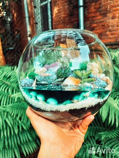 Флорариум, суккуленты, кактусы