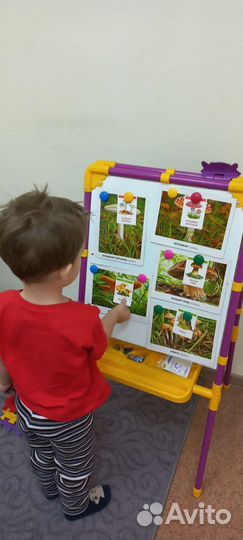 Учитель- логопед. Запуск речи. Заиколог