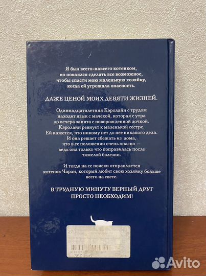 Чарли котенок,который спас жизнь Шейла Нортон