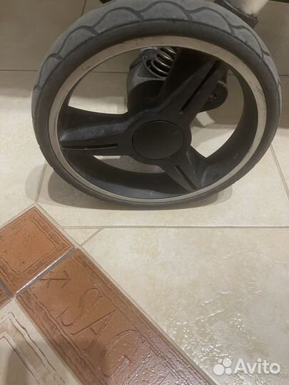 Прогулочная коляска carello Pulse 2022