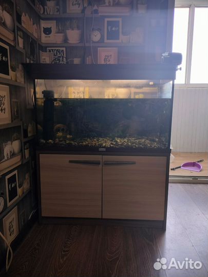 Аквариум