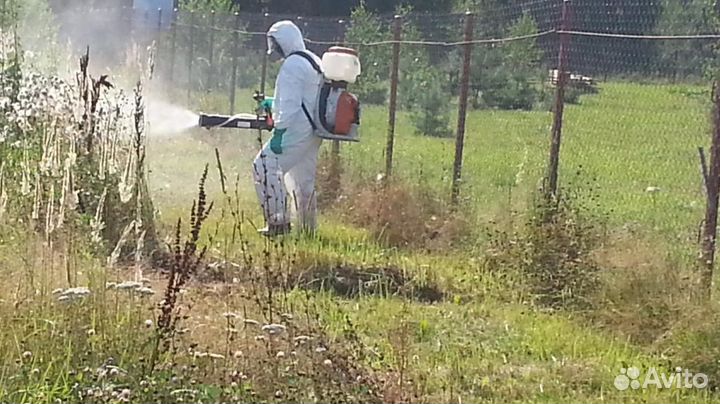 Обработка дачных участков от клещей, комаров, ос