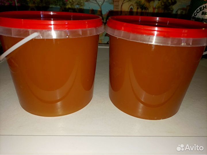 Кориандровый мёд (2022 года)